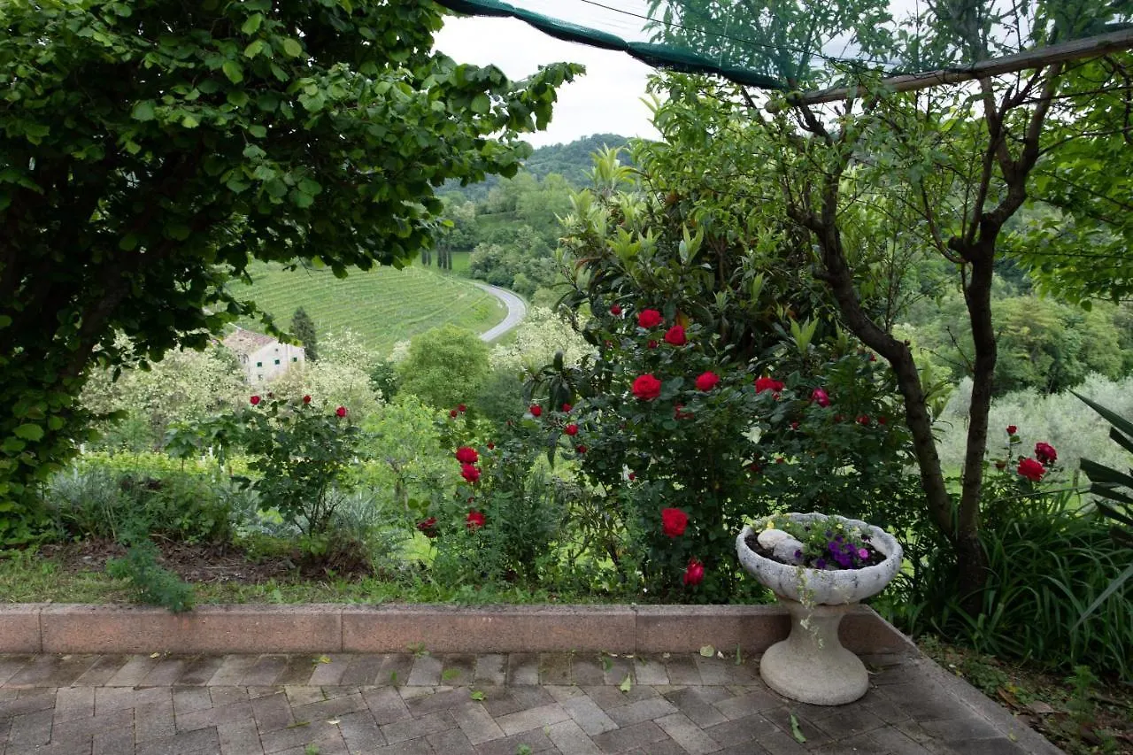 La Collina Dei Nonni - Tarzo Apartman