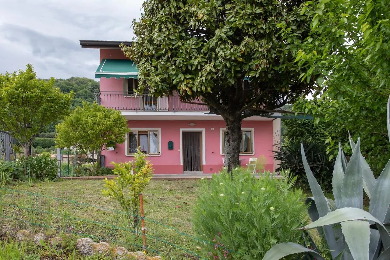 La Collina Dei Nonni - Tarzo Apartman